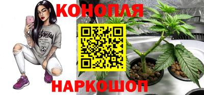 ПСИЛОЦИБИНОВЫЕ ГРИБЫ Можайск