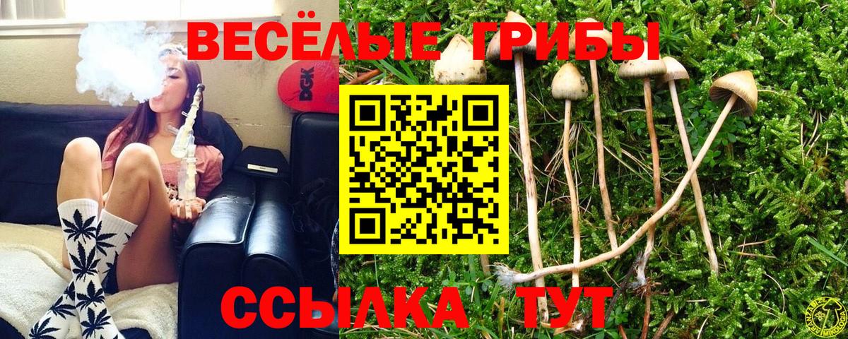 Псилоцибиновые грибы MAGIC MUSHROOMS  Вход с VPN  Владикавказ 